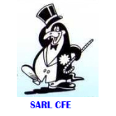 Sarl CFE