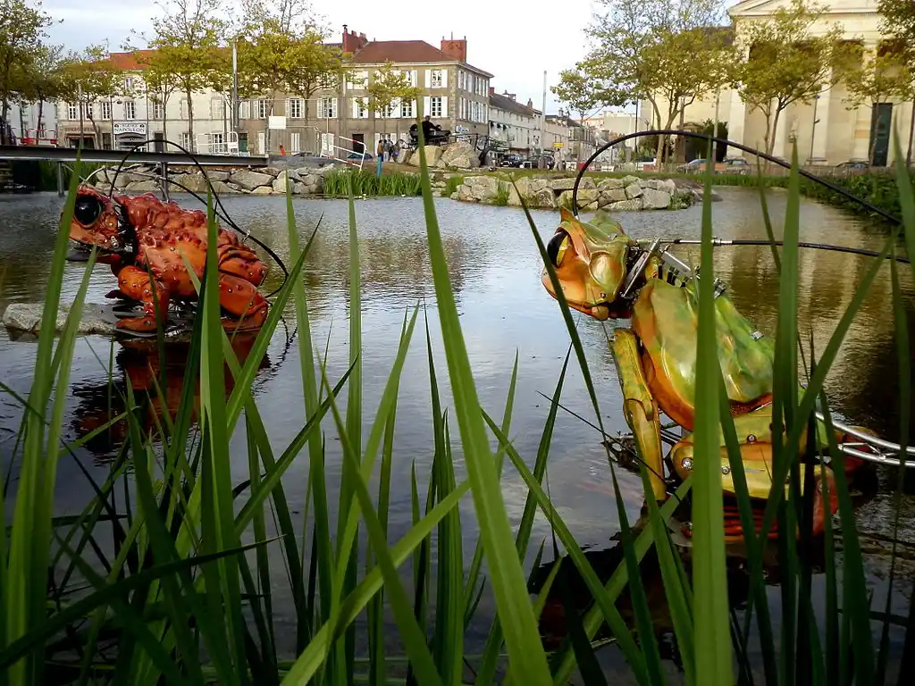 videaste à La Rochelle